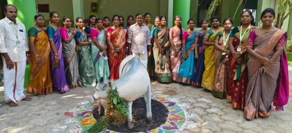 Pongal Celebration