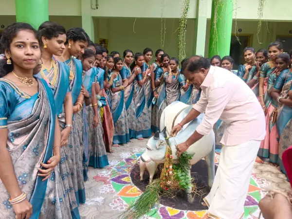 Pongal Celebration